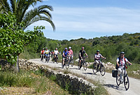 Markert Busreisen - Fahrrad-Reisen