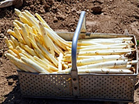 MARKERT Busreisen - Tagesfahrten