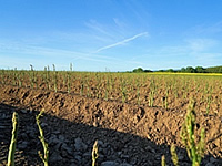 MARKERT Busreisen - Tagesfahrten